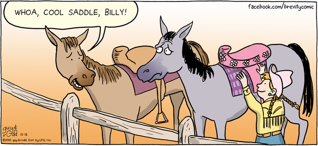 brevity